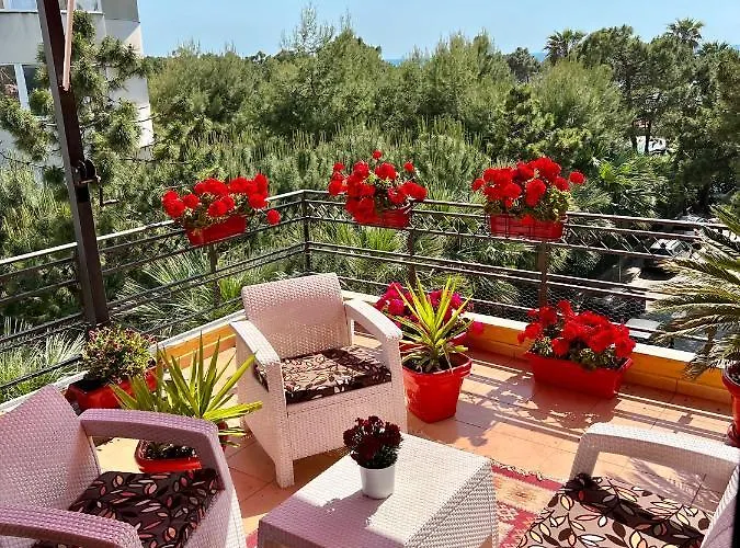 Don Robert Apartment